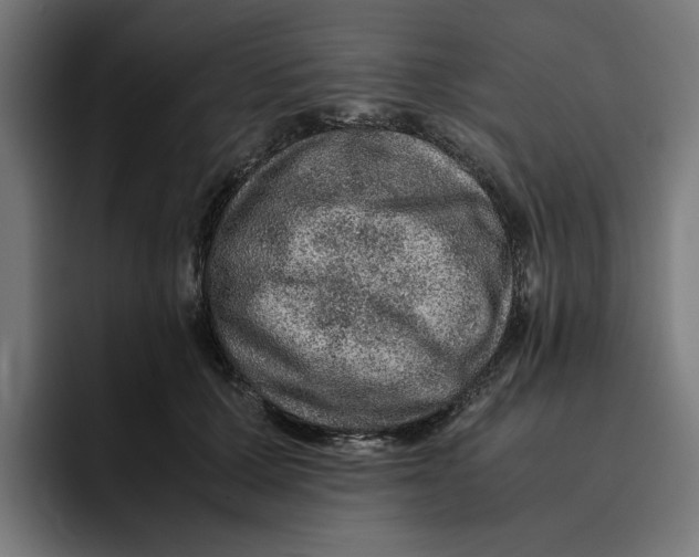 X0000094820607200712071247