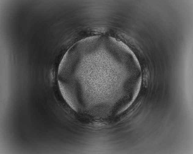 X0000094820608200712071247