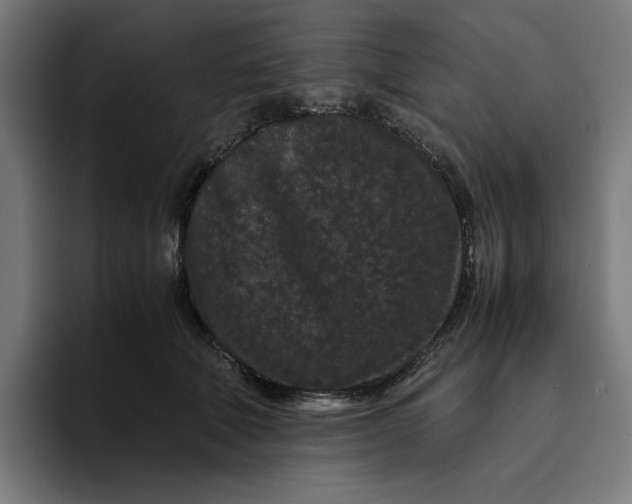 X0000094820610200712071247