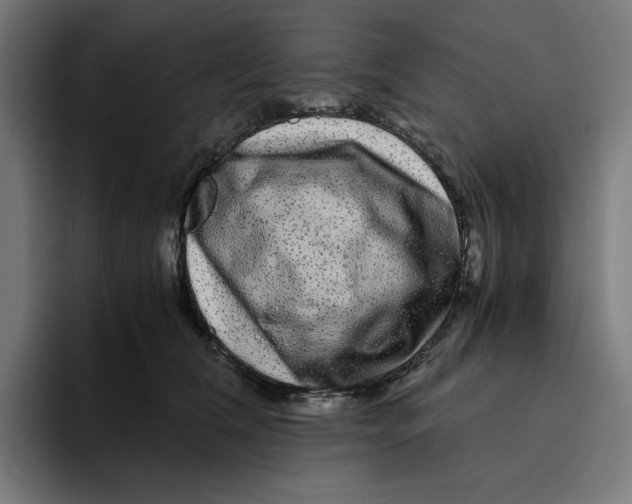 X0000094820612200712071247