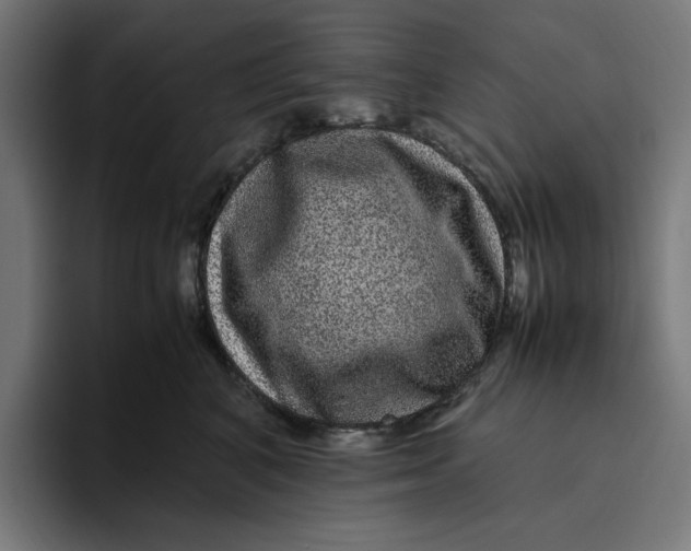 X0000094820616200712071247