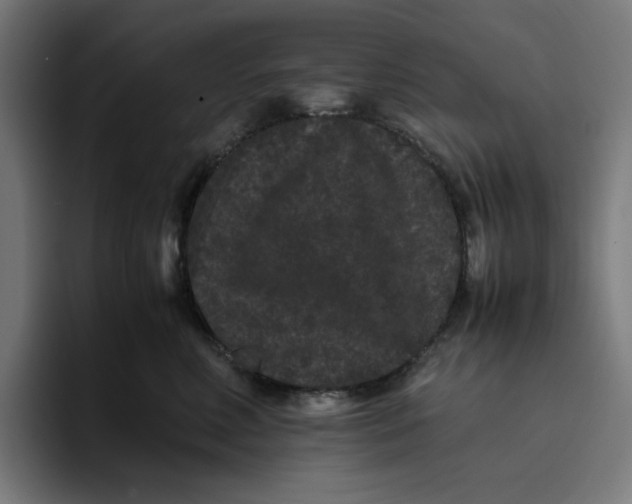 X0000094820618200712071247