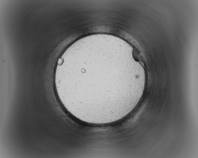 X0000094820625200712071246