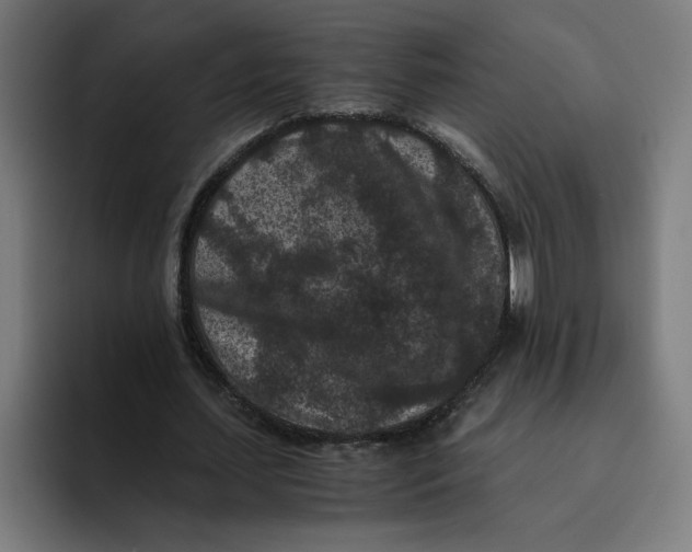 X0000094820627200712071246