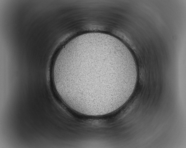 X0000094820629200712071246