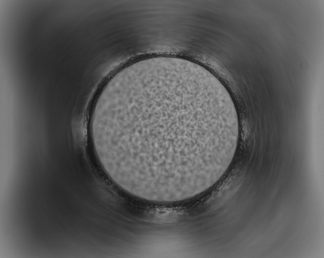 X0000094820632200712071246