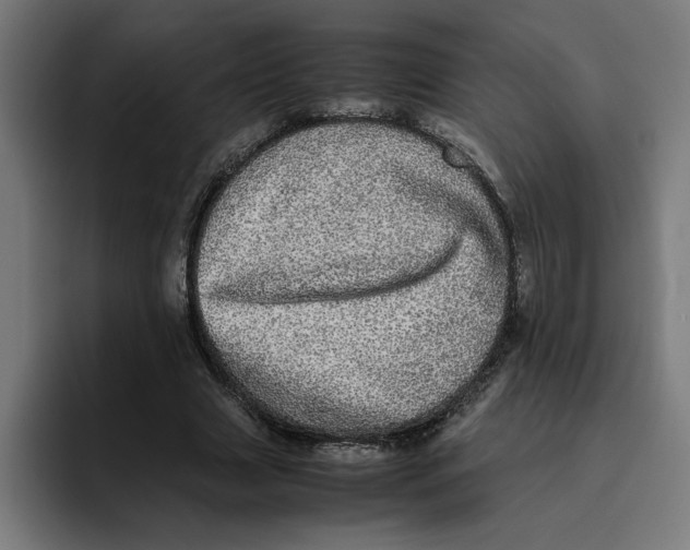 X0000094820633200712071246