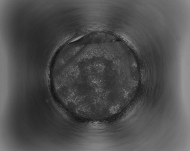 X0000094820634200712071246