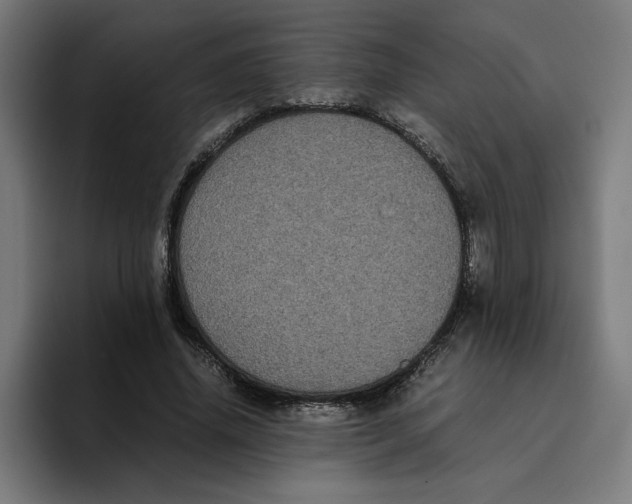 X0000094820636200712071246