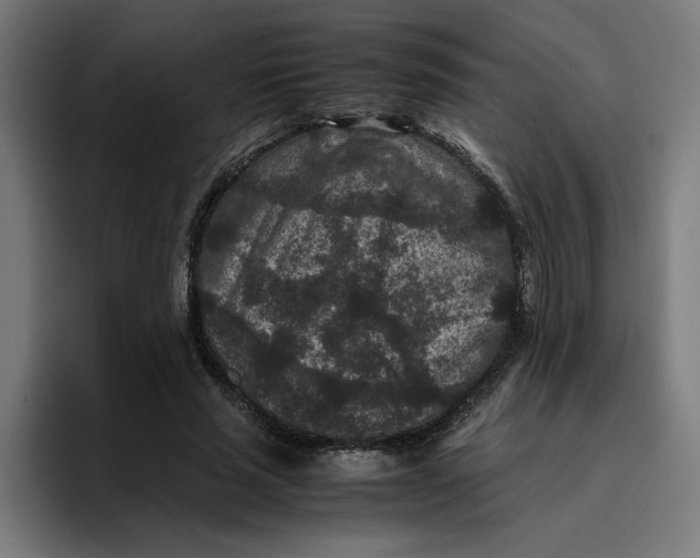 X0000094820637200712071246