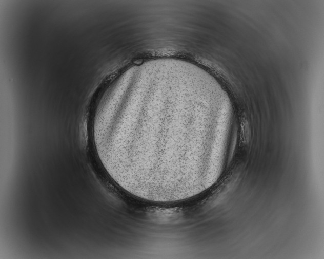 X0000094820638200712071246