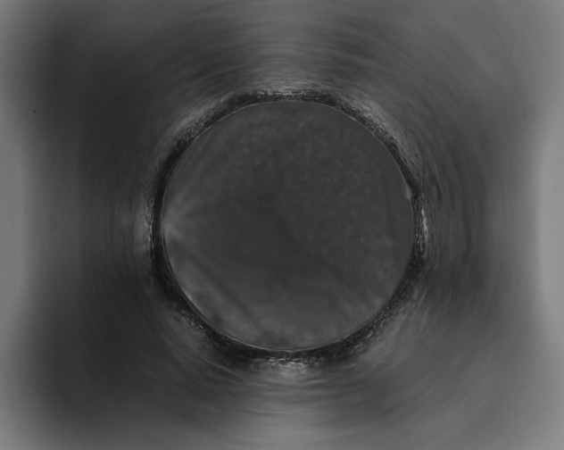 X0000094820640200712071246