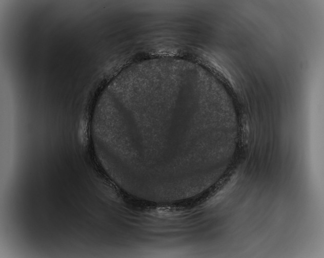 X0000094820641200712071246