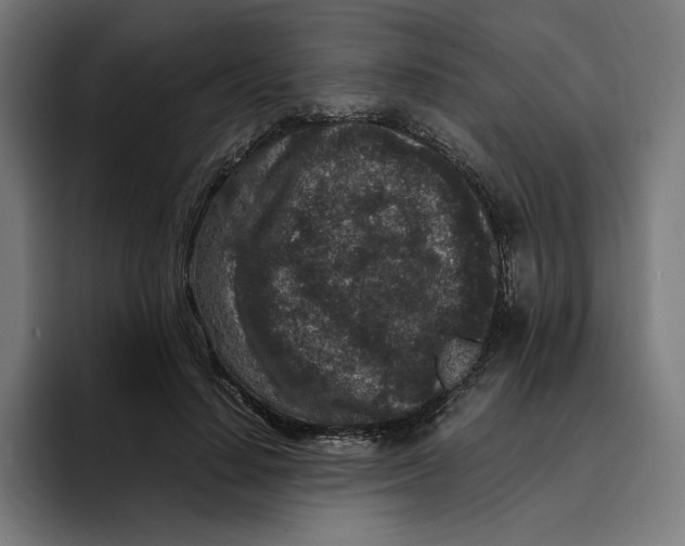 X0000094820644200712071246