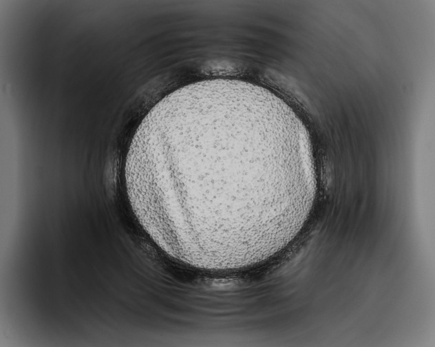 X0000094820645200712071246