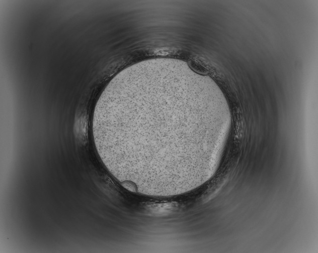 X0000094820646200712071247