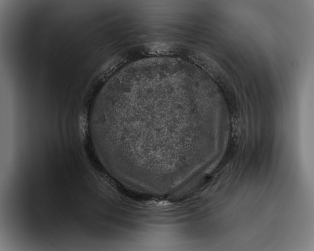 X0000094820648200712071247