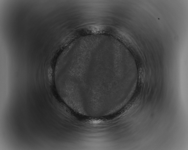 X0000094820650200712071247