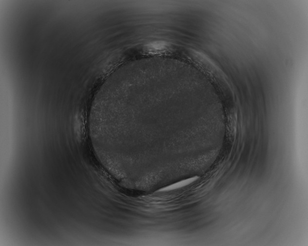 X0000094820653200712071247