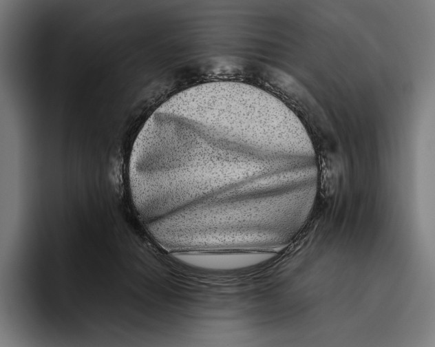 X0000094820654200712071247