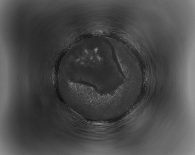 X0000094820659200712071247