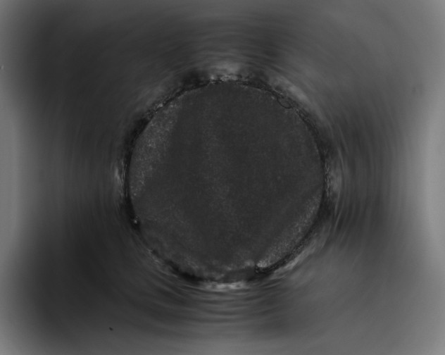 X0000094820661200712071247