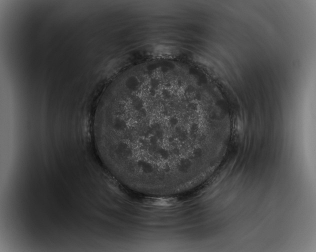 X0000094820663200712071247