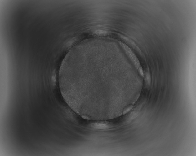 X0000094820668200712071247