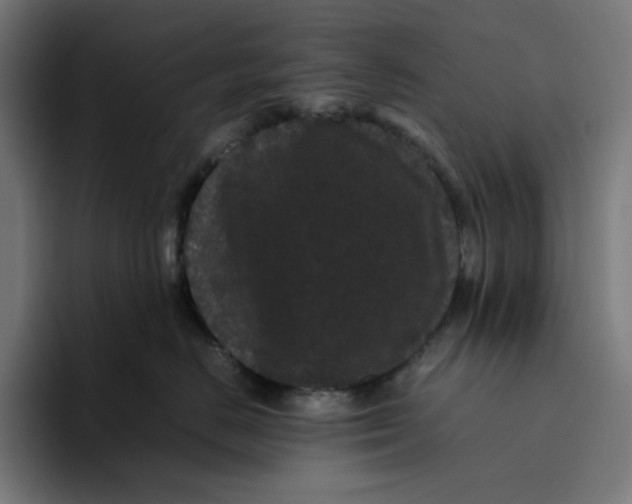 X0000094820670200712071247