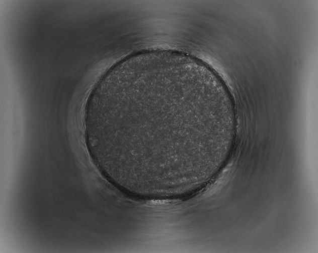 X0000094820673200712071246