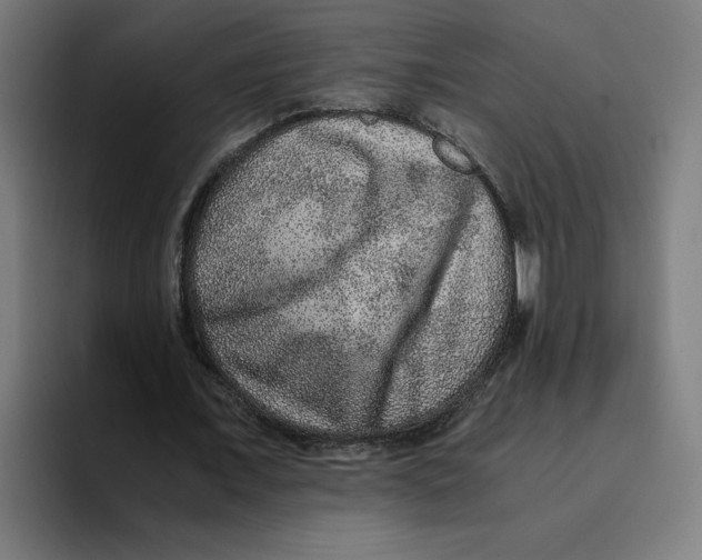 X0000094820675200712071246