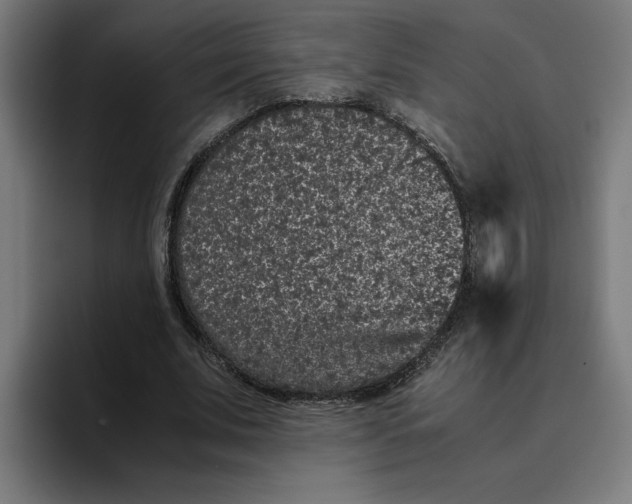 X0000094820679200712071246