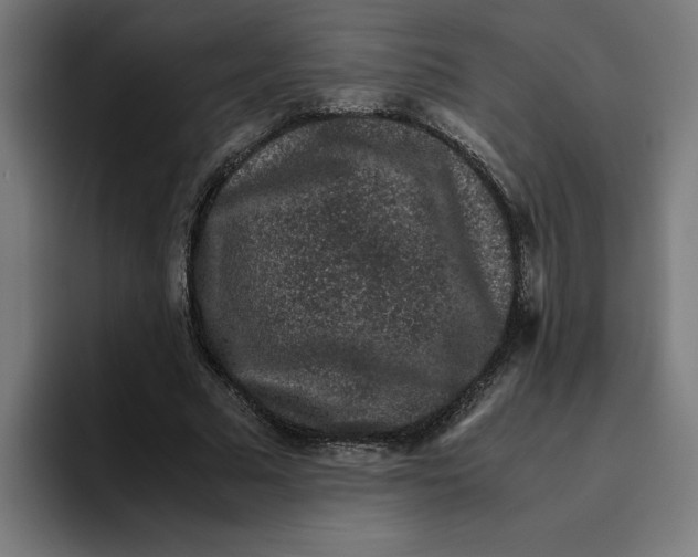 X0000094820681200712071246