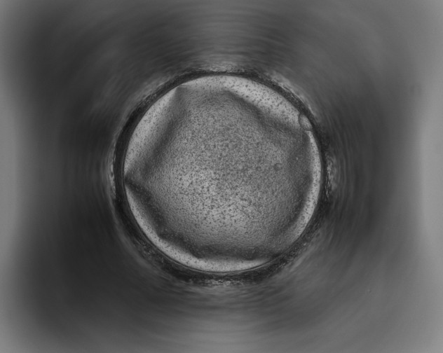 X0000094820682200712071246