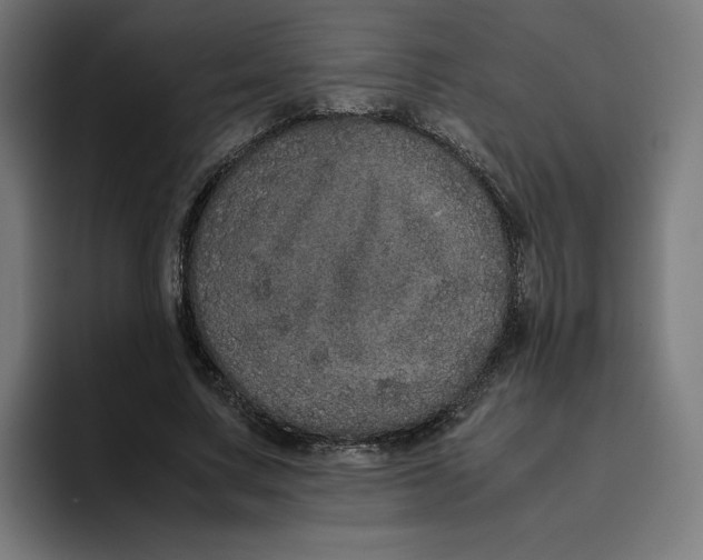 X0000094820683200712071246