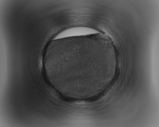 X0000094820685200712071246