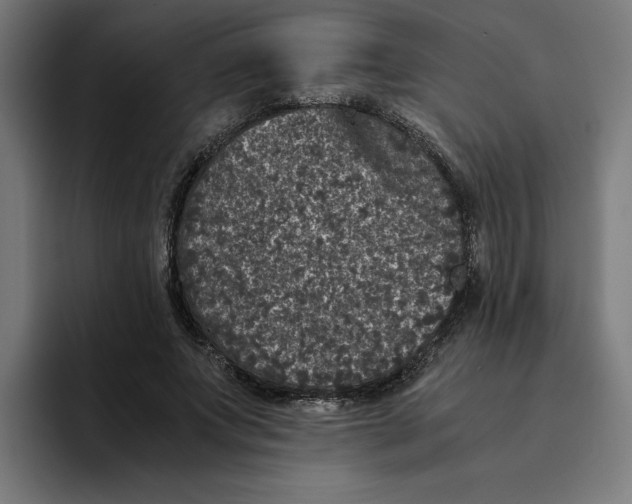 X0000094820687200712071246