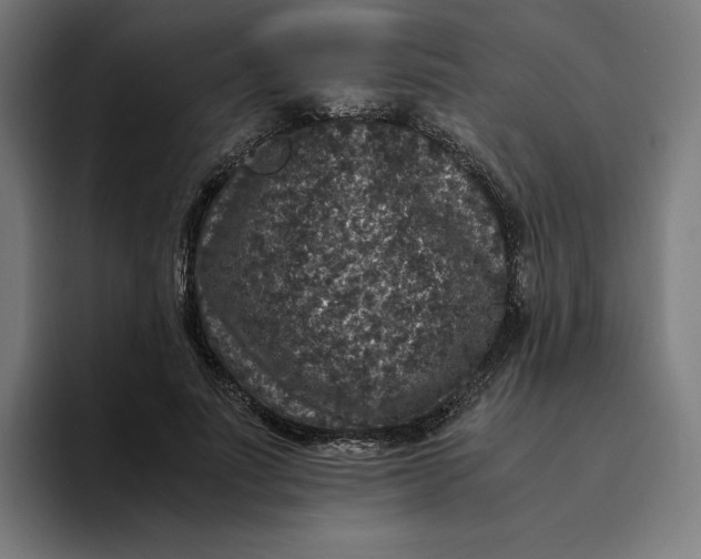 X0000094820691200712071246