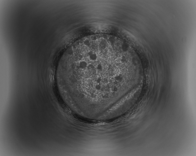 X0000094820695200712071246