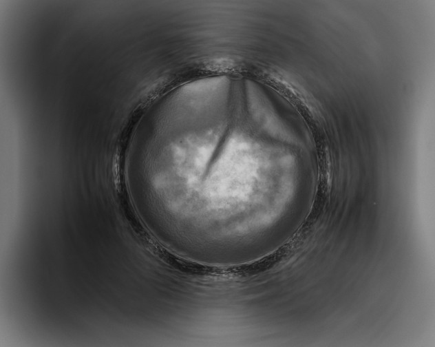 X0000094820696200712071246