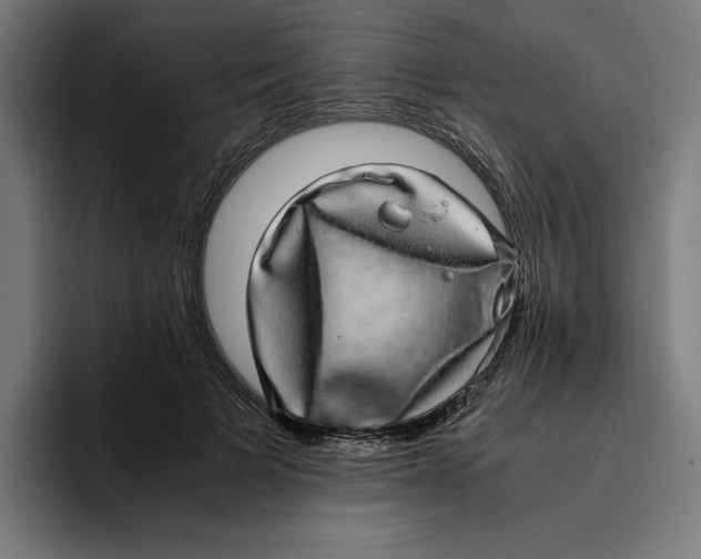 X0000094820697200712071246