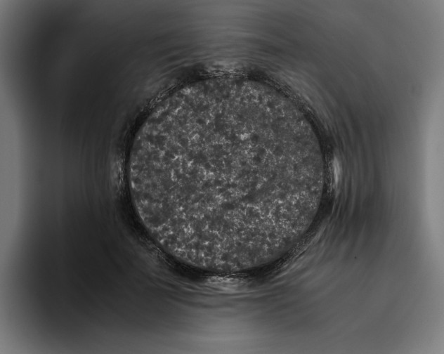 X0000094820699200712071246