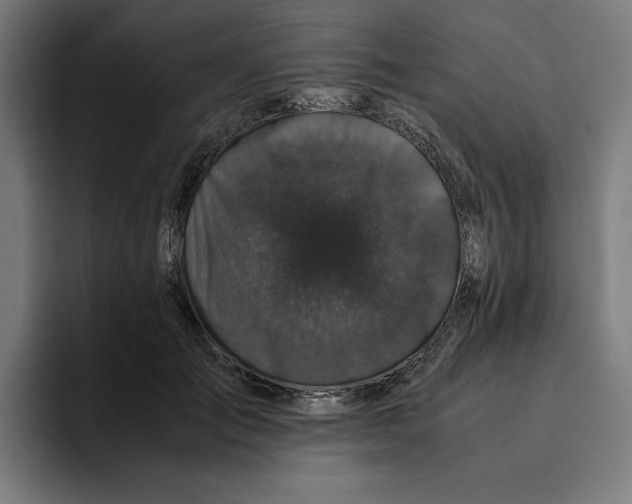 X0000094820701200712071246