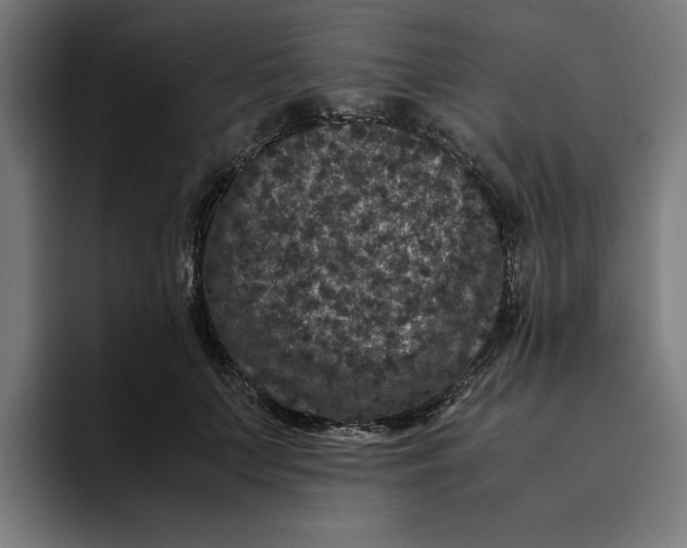 X0000094820703200712071246