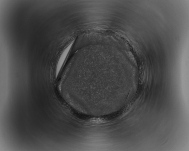 X0000094820704200712071246