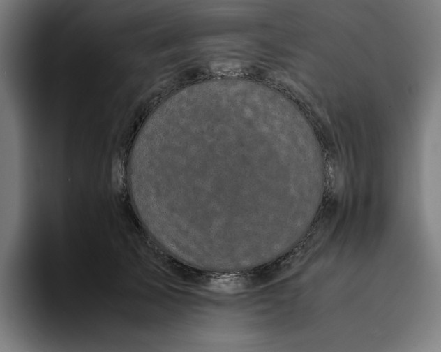 X0000094820705200712071246