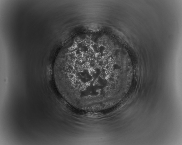 X0000094820707200712071246