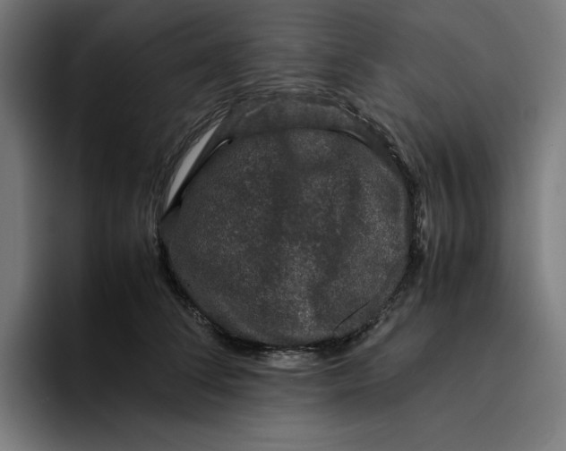 X0000094820708200712071246