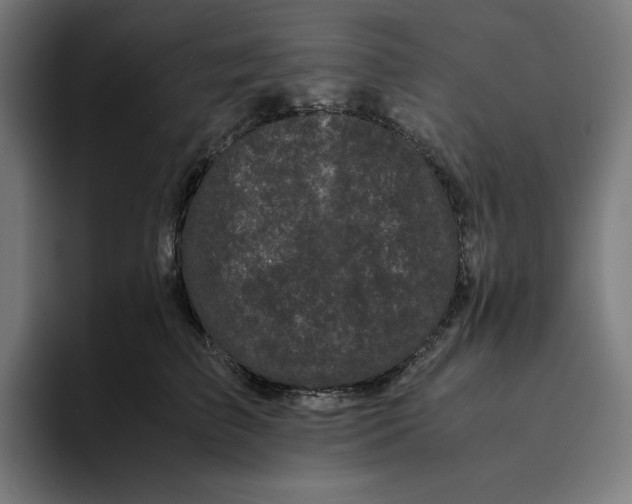 X0000094820709200712071246