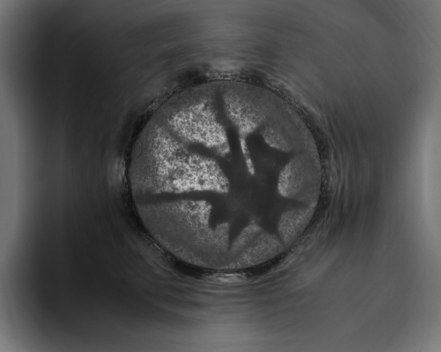 X0000094820711200712071246